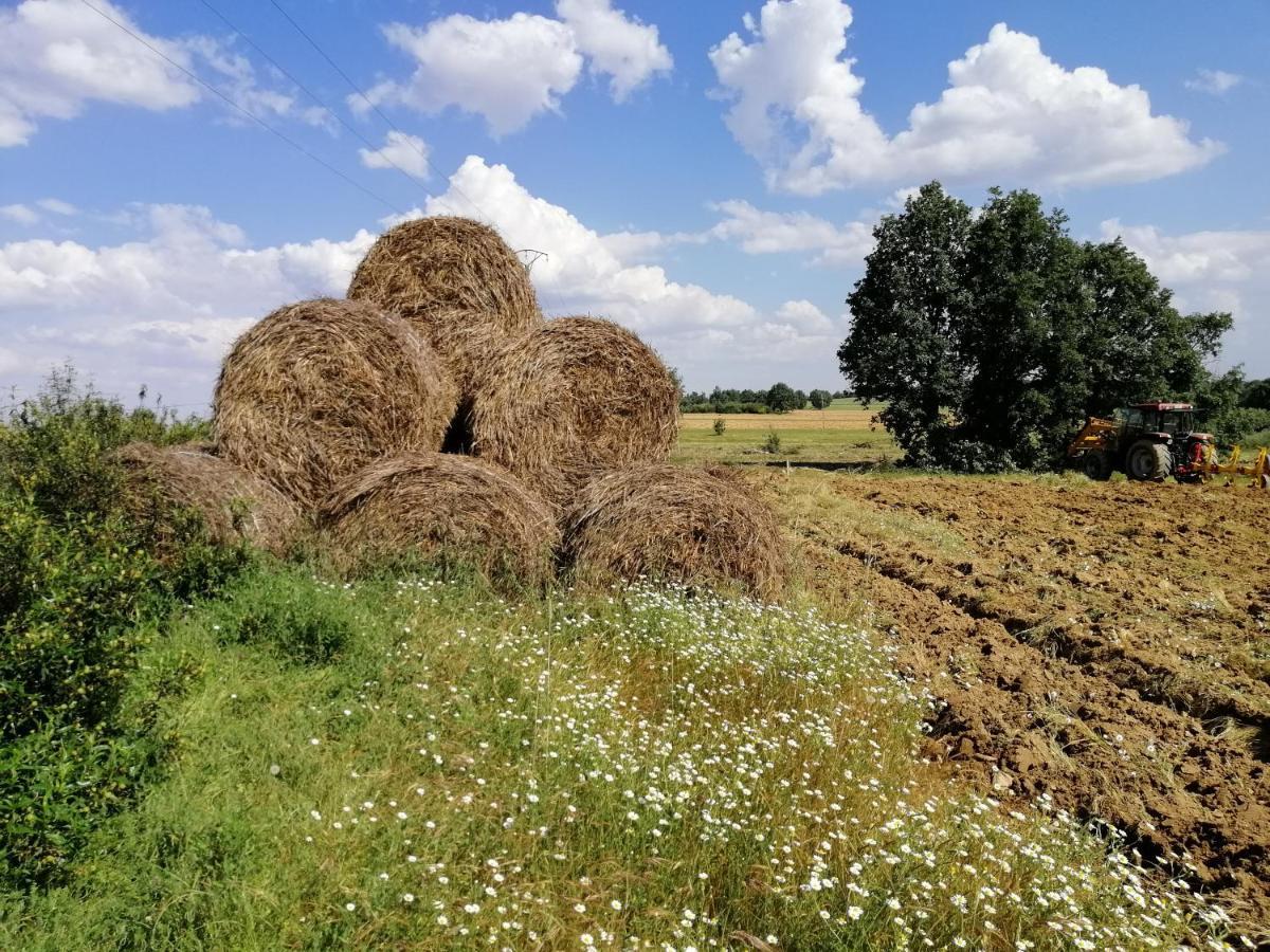 Hotel Rural Lajafriz Fornillos de Aliste Екстериор снимка